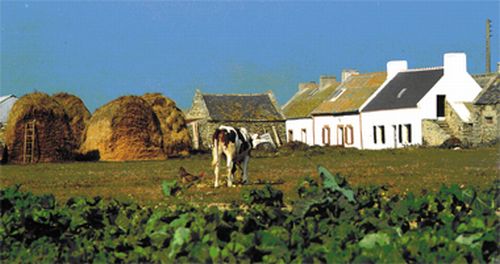 Agriculture